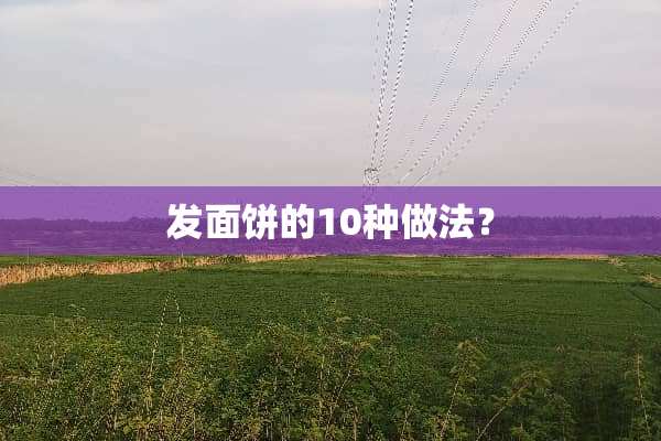 发面饼的10种做法？