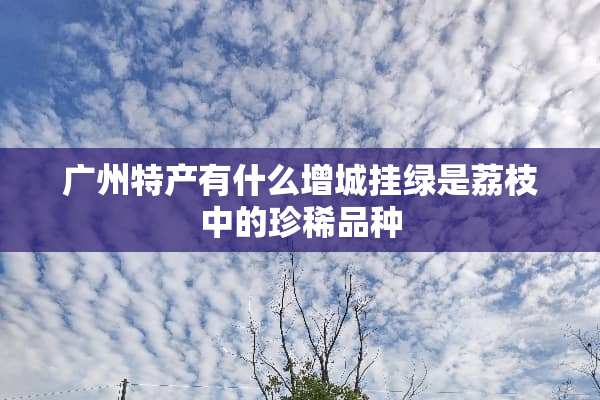 广州特产有什么增城挂绿是荔枝中的珍稀品种