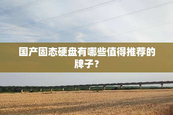 国产固态硬盘有哪些值得推荐的牌子？