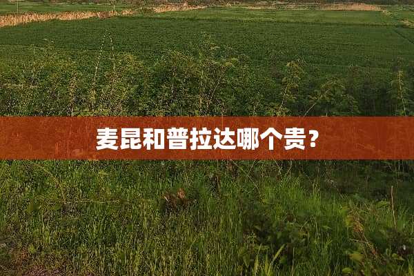 麦昆和普拉达哪个贵？