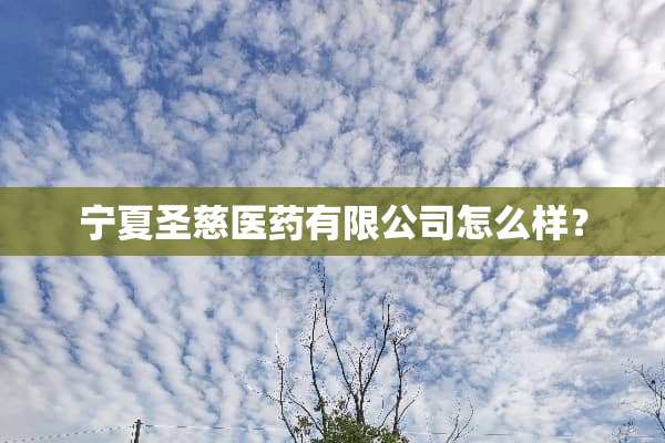 宁夏圣慈医药有限公司怎么样？