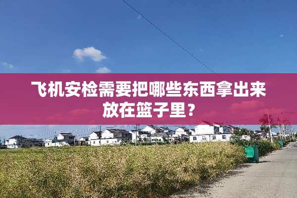 飞机安检需要把哪些东西拿出来放在篮子里？
