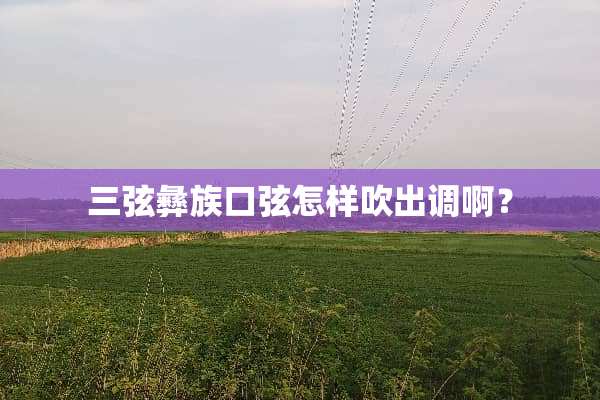 三弦彝族口弦怎样吹出调啊？
