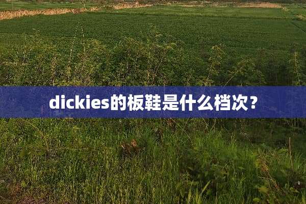 dickies的板鞋是什么档次？