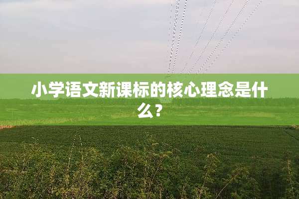 小学语文新课标的核心理念是什么？