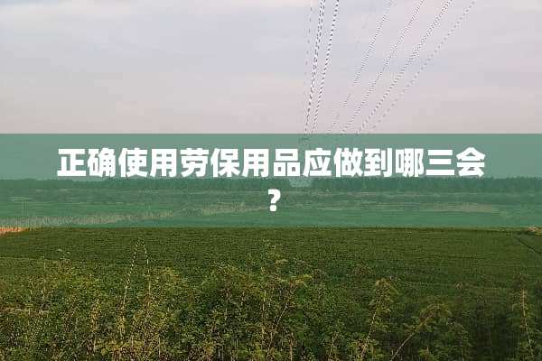 正确使用劳保用品应做到哪三会？