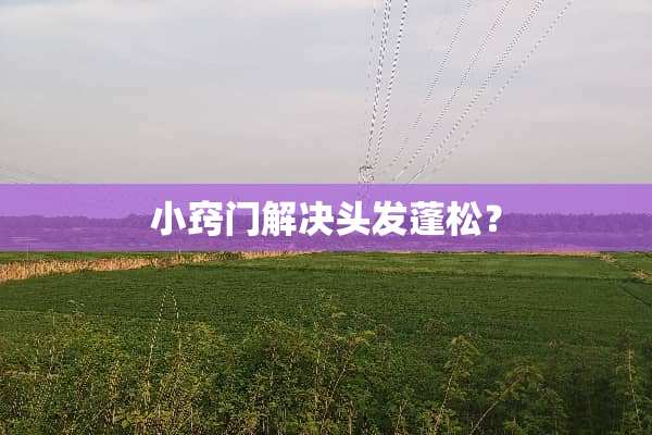小窍门解决头发蓬松？