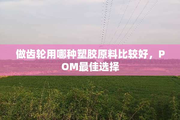 做齿轮用哪种塑胶原料比较好，POM最佳选择