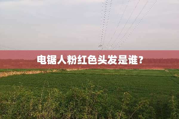 电锯人粉红色头发是谁？