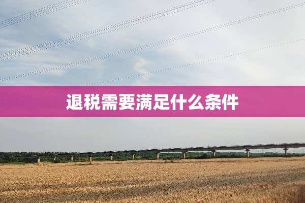 退税需要满足什么条件