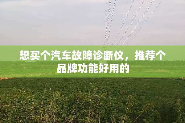 想买个汽车故障诊断仪，推荐个品牌功能好用的