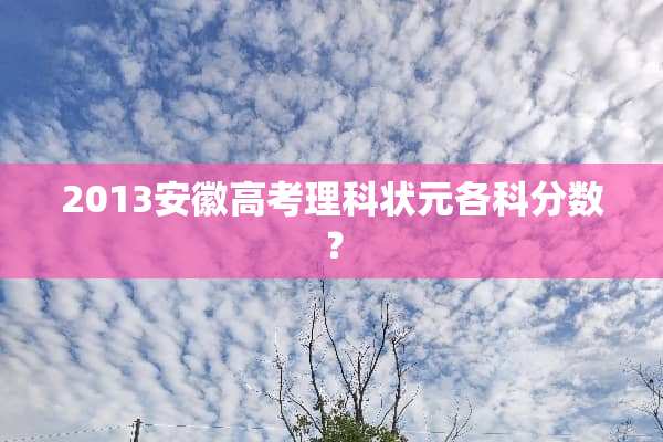 2013安徽高考理科状元各科分数？