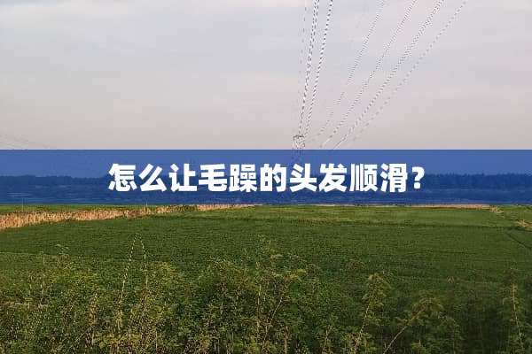 怎么让毛躁的头发顺滑？