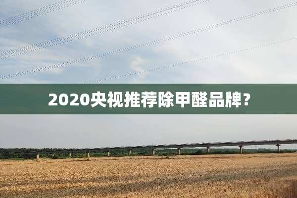 2020央视推荐除甲醛品牌？