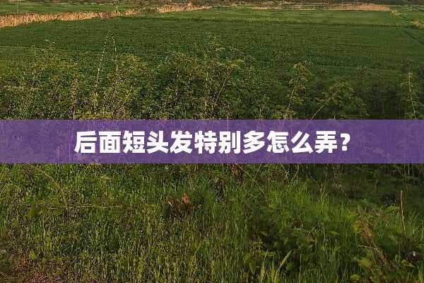 后面短头发特别多怎么弄？