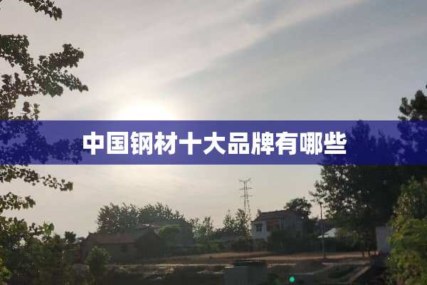中国钢材十大品牌有哪些