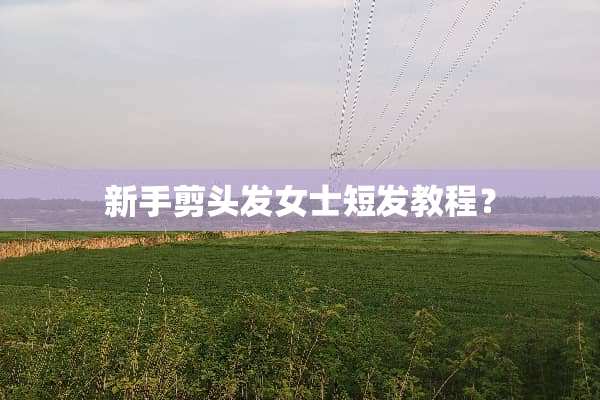 新手剪头发女士短发教程？