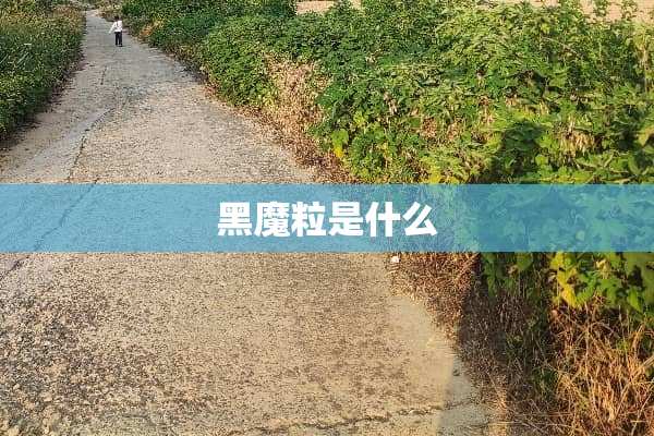 黑魔粒是什么