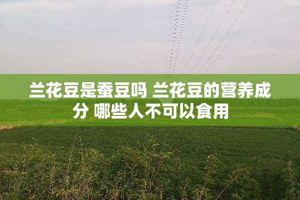 兰花豆是蚕豆吗 兰花豆的营养成分 哪些人不可以食用