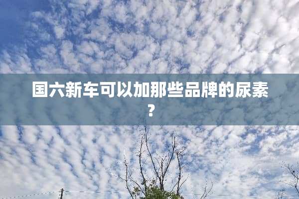 国六新车可以加那些品牌的尿素？