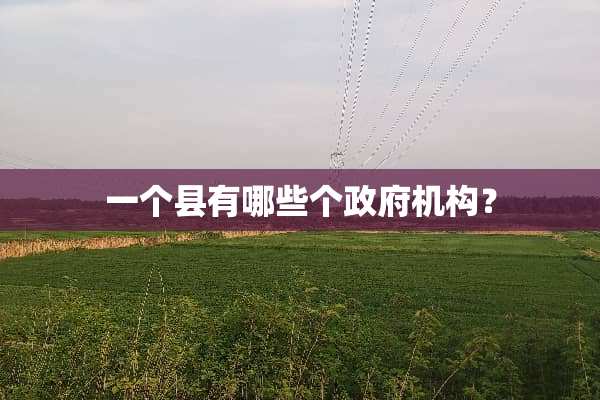 一个县有哪些个**机构？