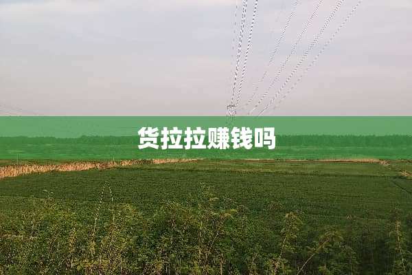 货拉拉赚钱吗
