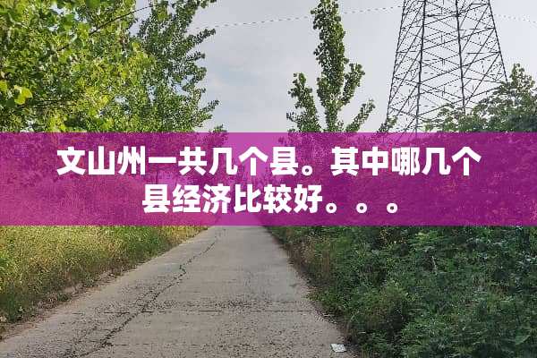 文山州一共几个县。其中哪几个县经济比较好。。。