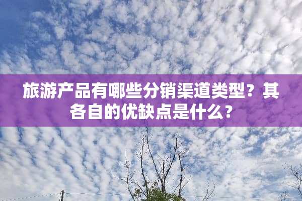 旅游产品有哪些分销渠道类型？其各自的优缺点是什么？