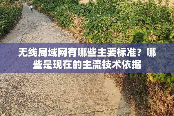 无线局域网有哪些主要标准？哪些是现在的主流技术依据