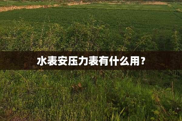 水表安压力表有什么用？