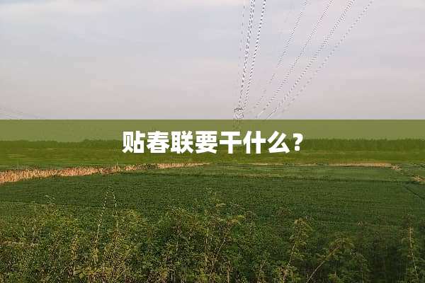 贴春联要干什么？