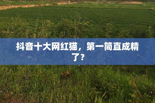 抖音十大网红猫，第一简直成精了？