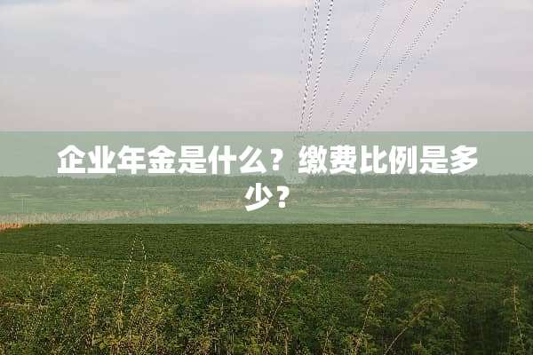 企业年金是什么？缴费比例是多少？