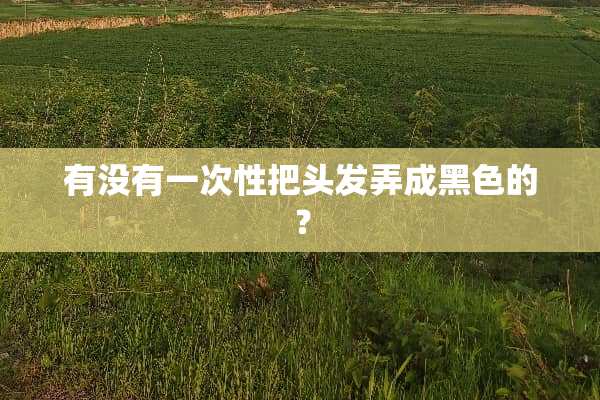 有没有一次性把头发弄成黑色的？