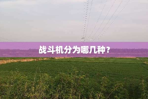 战斗机分为哪几种？