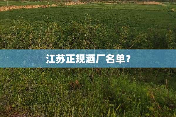 江苏正规酒厂名单？