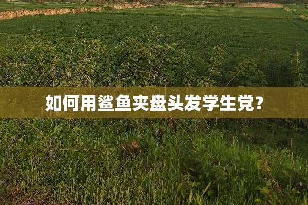 如何用鲨鱼夹盘头发学生*？
