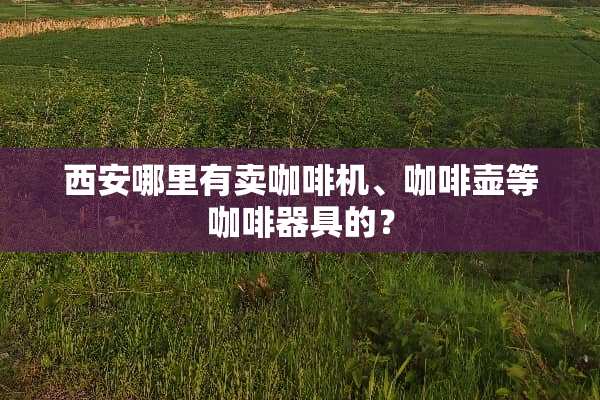 西安哪里有卖咖啡机、咖啡壶等咖啡器具的？