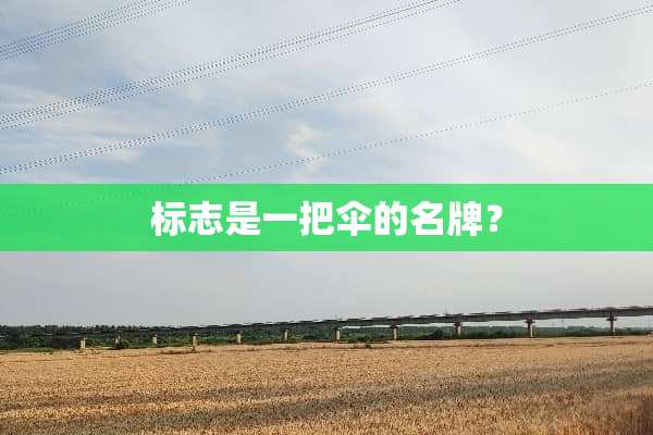 标志是一把伞的名牌？