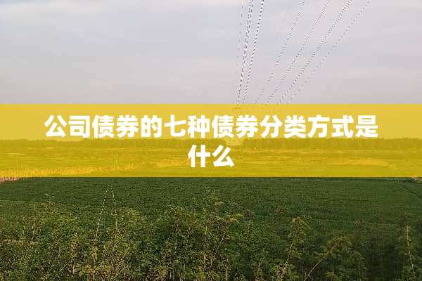 公司债券的七种债券分类方式是什么