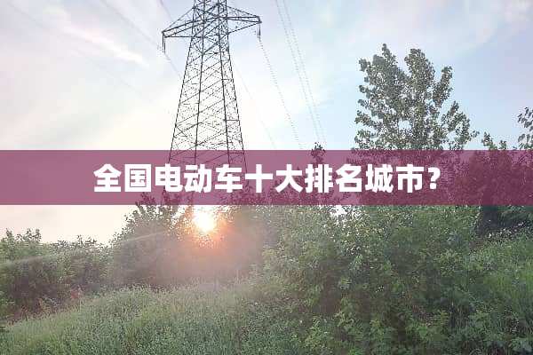 全国电动车十大排名城市？
