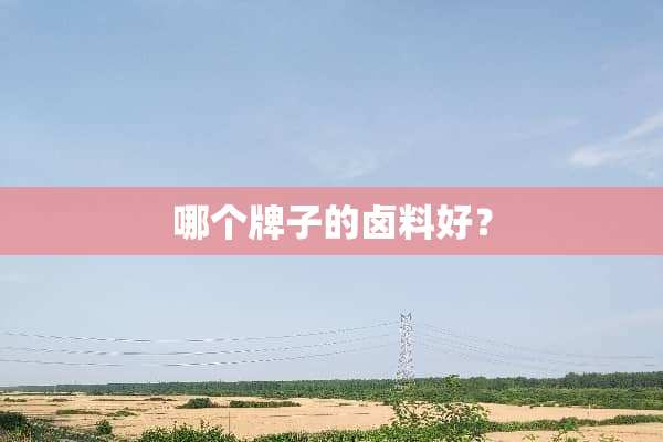 哪个牌子的卤料好？