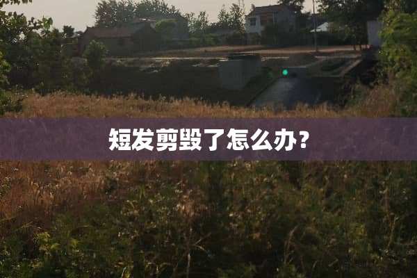 短发剪毁了怎么办？