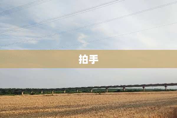 拍手