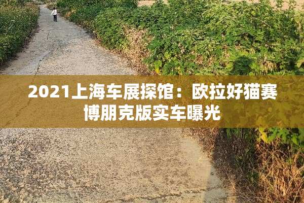 2021上海车展探馆：欧拉好猫赛博朋克版实车曝光