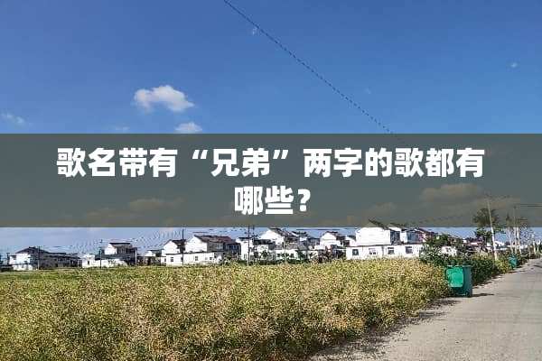 歌名带有“兄弟”两字的歌都有哪些？