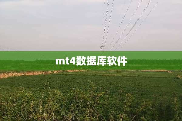 mt4数据库软件