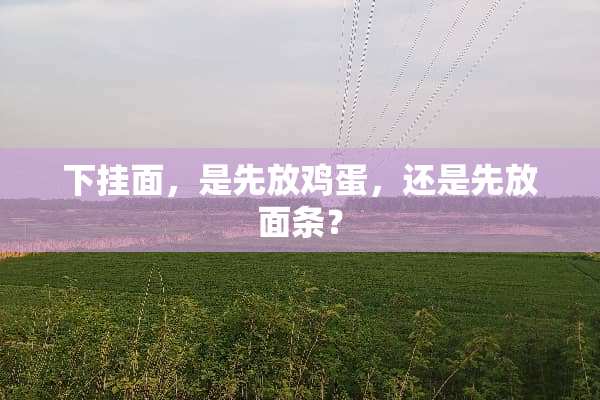 下挂面，是先放鸡蛋，还是先放面条？