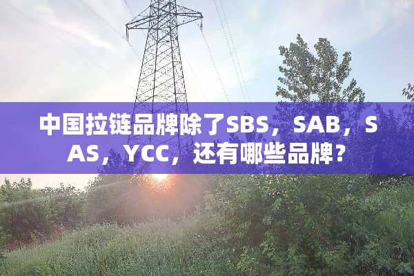 中国拉链品牌除了SBS，SAB，SAS，YCC，还有哪些品牌？