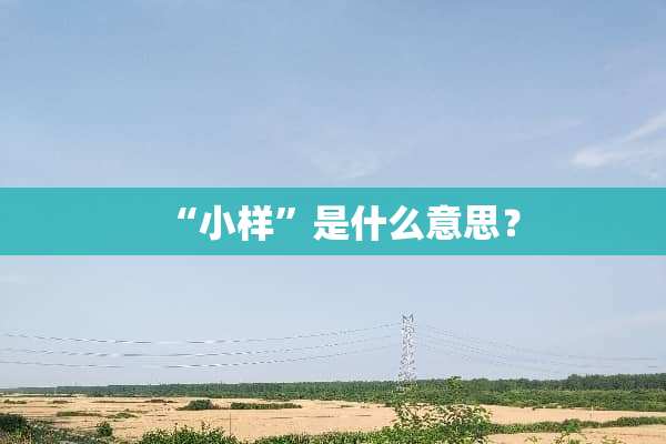 “小样”是什么意思？